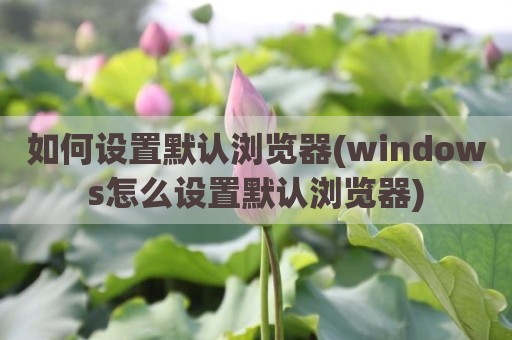 如何设置默认浏览器(windows怎么设置默认浏览器)