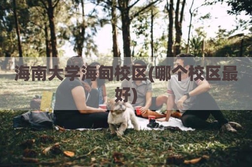 海南大学海甸校区(哪个校区最好)