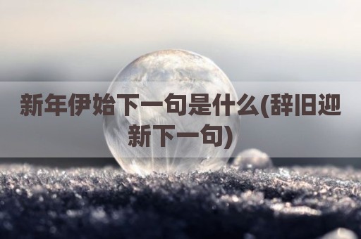 新年伊始下一句是什么(辞旧迎新下一句)