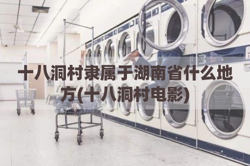 十八洞村隶属于湖南省什么地方(十八洞村电影)
