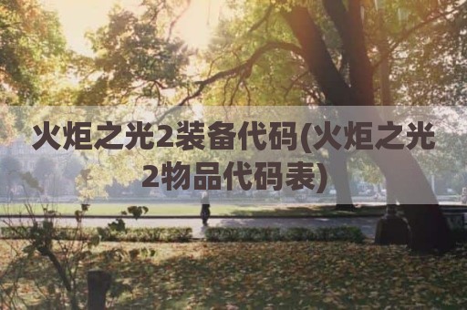 火炬之光2装备代码(火炬之光2物品代码表)