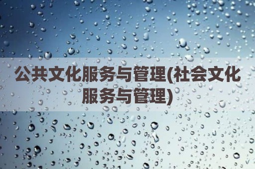 公共文化服务与管理(社会文化服务与管理)