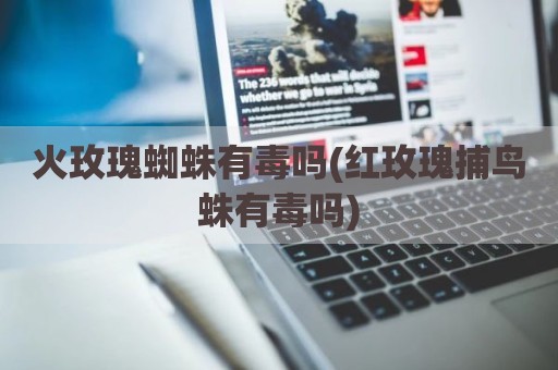 火玫瑰蜘蛛有毒吗(红玫瑰捕鸟蛛有毒吗)