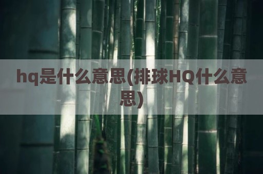hq是什么意思(排球HQ什么意思)