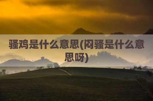 骚鸡是什么意思(闷骚是什么意思呀)