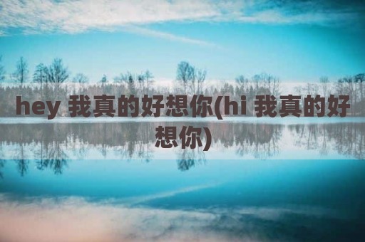 hey 我真的好想你(hi 我真的好想你)