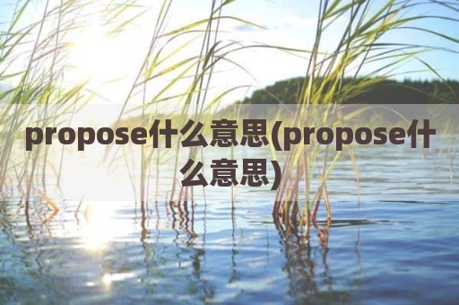propose什么意思(propose什么意思)