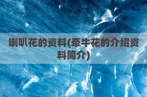 喇叭花的资料(牵牛花的介绍资料简介)