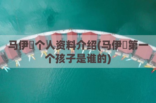 马伊琍个人资料介绍(马伊琍第一个孩子是谁的)