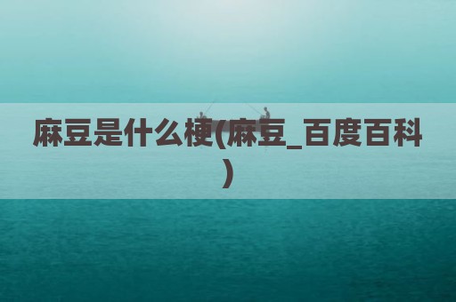 麻豆是什么梗(麻豆_百度百科)