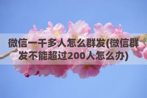 微信一千多人怎么群发(微信群发不能超过200人怎么办)