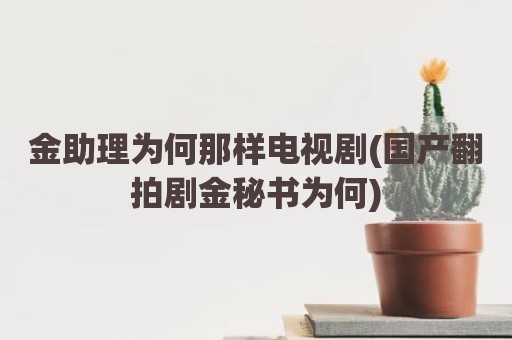 金助理为何那样电视剧(国产翻拍剧金秘书为何)