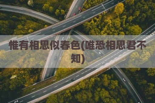 惟有相思似春色(唯恐相思君不知)