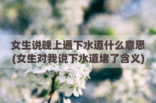 女生说晚上通下水道什么意思(女生对我说下水道堵了含义)