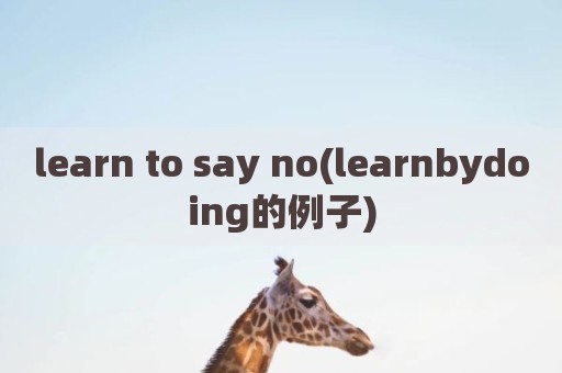learn to say no(learnbydoing的例子)