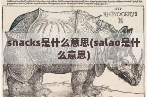 snacks是什么意思(salao是什么意思)
