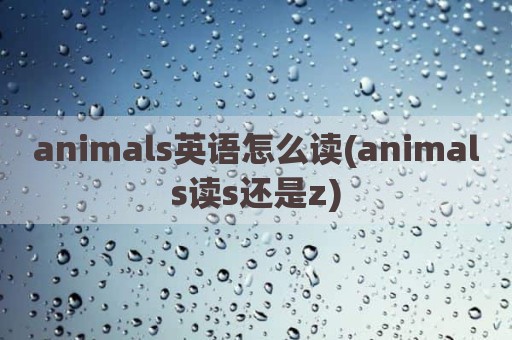 animals英语怎么读(animals读s还是z)