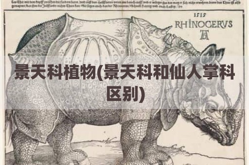 景天科植物(景天科和仙人掌科区别)
