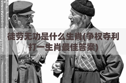 徒劳无功是什么生肖(争权夺利打一生肖最佳答案)