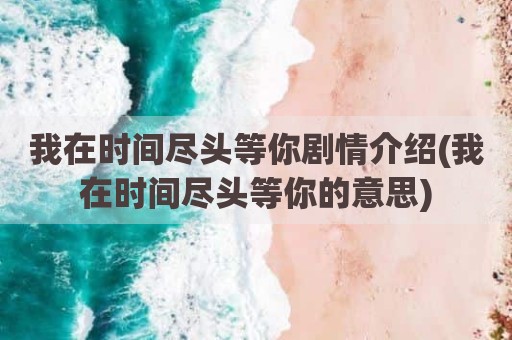 我在时间尽头等你剧情介绍(我在时间尽头等你的意思)