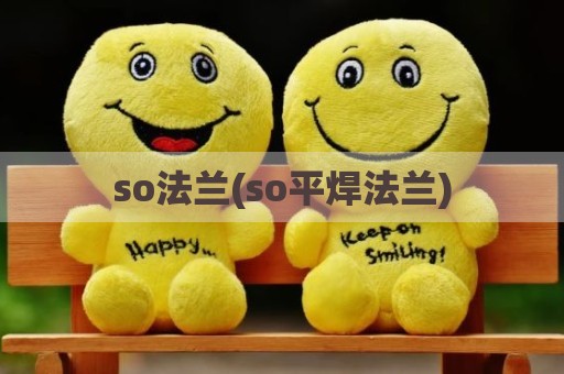 so法兰(so平焊法兰)