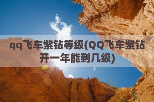 qq飞车紫钻等级(QQ飞车紫钻开一年能到几级)
