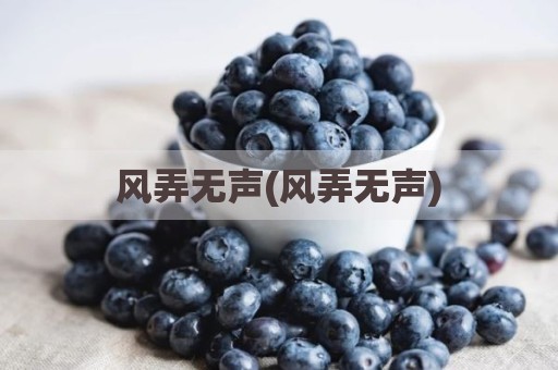 风弄无声(风弄无声)