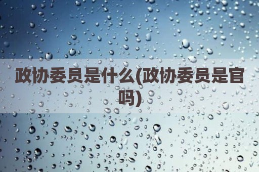 政协委员是什么(政协委员是官吗)