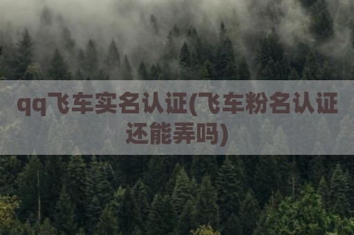 qq飞车实名认证(飞车粉名认证还能弄吗)