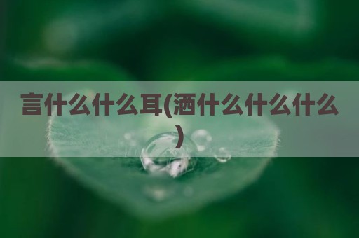 言什么什么耳(洒什么什么什么)