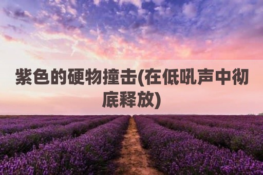 紫色的硬物撞击(在低吼声中彻底释放)