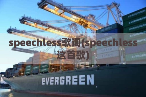 speechless歌词(speechless这首歌)