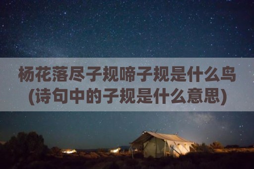 杨花落尽子规啼子规是什么鸟(诗句中的子规是什么意思)