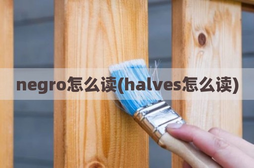 negro怎么读(halves怎么读)