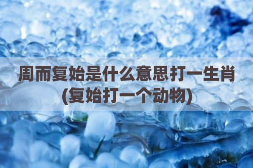 周而复始是什么意思打一生肖(复始打一个动物)