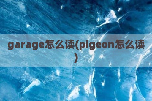 garage怎么读(pigeon怎么读)