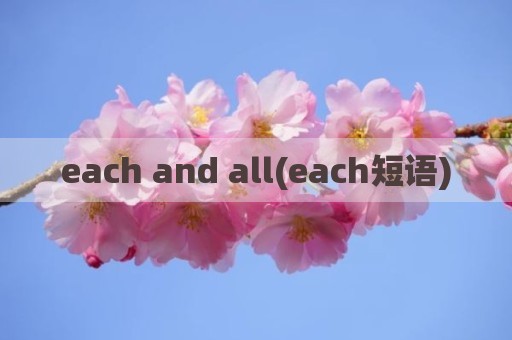 each and all(each短语)