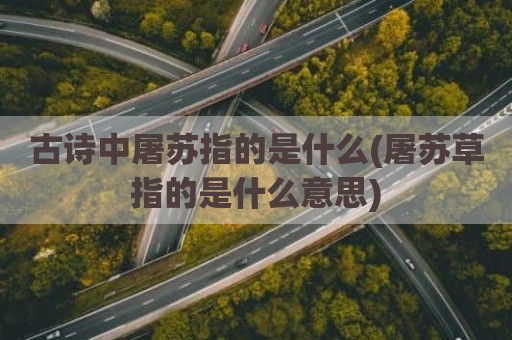 古诗中屠苏指的是什么(屠苏草指的是什么意思)