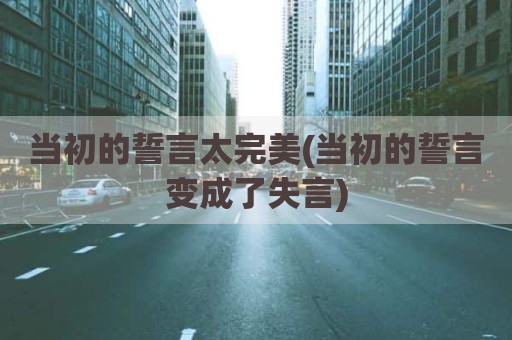 当初的誓言太完美(当初的誓言变成了失言)