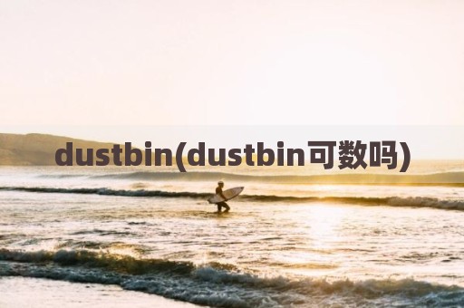 dustbin(dustbin可数吗)