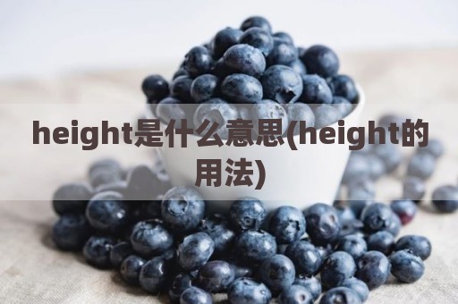 height是什么意思(height的用法)