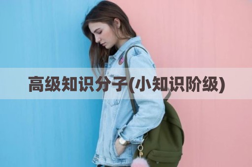 高级知识分子(小知识阶级)