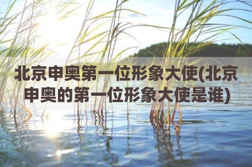北京申奥第一位形象大使(北京申奥的第一位形象大使是谁)
