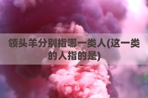 领头羊分别指哪一类人(这一类的人指的是)