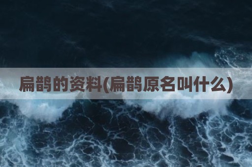 扁鹊的资料(扁鹊原名叫什么)