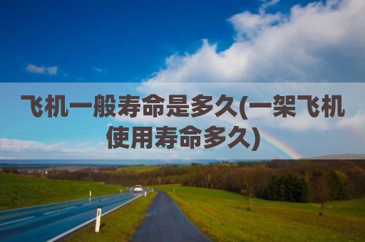 飞机一般寿命是多久(一架飞机使用寿命多久)
