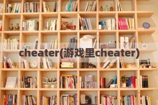 cheater(游戏里cheater)