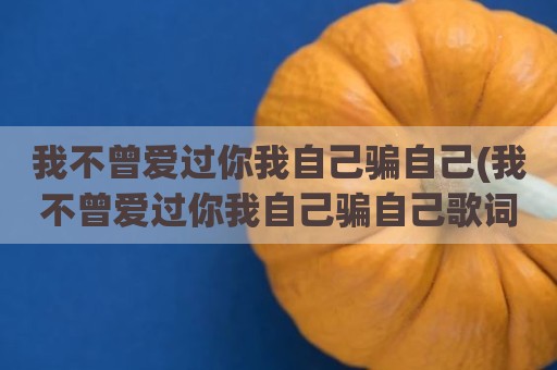 我不曾爱过你我自己骗自己(我不曾爱过你我自己骗自己歌词)