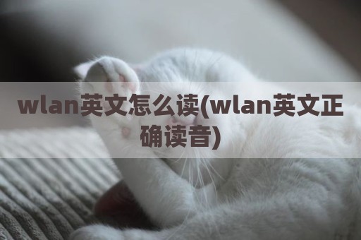 wlan英文怎么读(wlan英文正确读音)