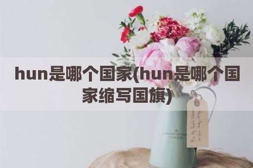 hun是哪个国家(hun是哪个国家缩写国旗)